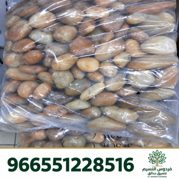 فردوس النسيم 966551228516 23 600x600