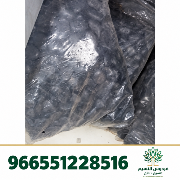 فردوس النسيم 966551228516 24 600x600